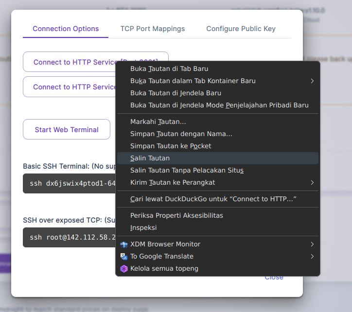 RunPod Dialog Connect
